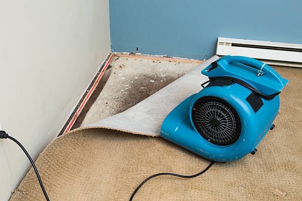Best Flood damage cleanup  in Caway, AR